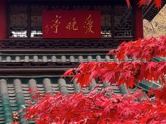 -岳麓山风景名胜区