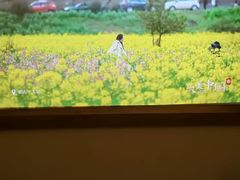 -家富足道·SPA·影院式(解放碑碑中心店)