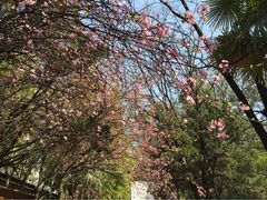-新竹里馆·花园餐厅(兴苑路店)