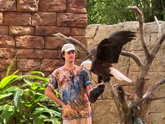 -奥兰多迪士尼动物王国乐园