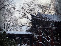 -荣国府