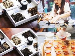 -茯茶镇