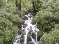 -牛背梁国家森林公园