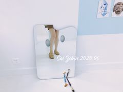 -胶囊画廊
