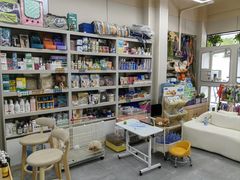 -唐小姐の私宠·宠物洗护美容·撸猫馆·购宠(周浦万达旗舰店)