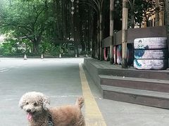 -广州市紫泥堂文化创意园景区