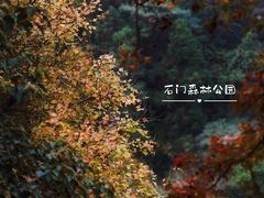 -广州市石门国家森林公园