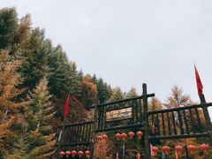 -苏木山森林公园