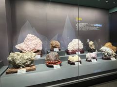 -湖南省地质博物馆