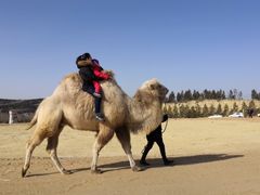 -鄂尔多斯野生动物园