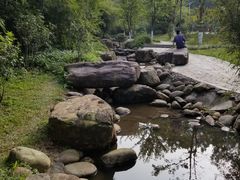 -火炉山森林公园