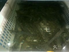 -蒸上鲜海鲜蒸汽蒸菜主题餐厅(高新店)