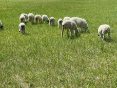 -呼和诺尔旅游景区