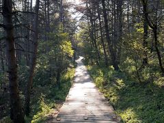 -帽儿山国家森林公园