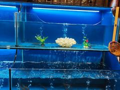 水产区-芭菲盛宴·环球美食(袁家岗店)