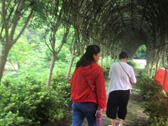 -木兰云雾山