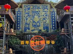 -海南槟榔谷黎苗文化旅游区