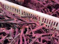 -马占光牛肉干(大召店)