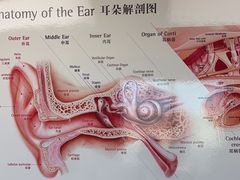 -自然之声助听器·呼吸机(翠微大厦店)
