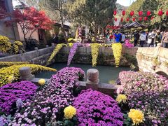 -惠山古镇·寄畅园