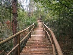 -黄陂区野村谷景区