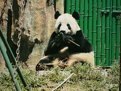 -大连森林动物园