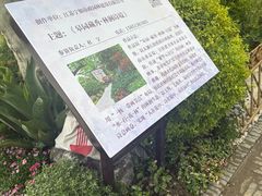 -水绘园
