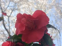 -江南大学(蠡湖校区)