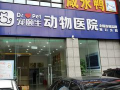 -宠颐生动物医院·猫科·心脏科(海口分院)