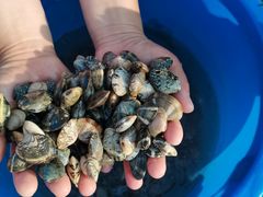 -秦皇岛秦皇国际大酒店