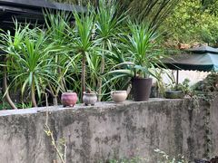 -杨桃院子咖啡吧(安海花园店)