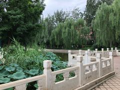 -丰台科技园生态主题公园