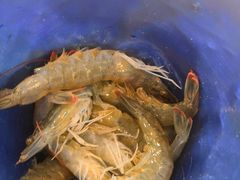 活虾-澜悦港海鲜体验主题餐厅