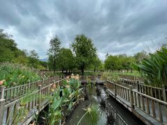 -五缘湾湿地公园