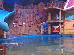 -烟台海昌鲸鲨海洋公园