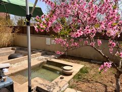 -大连金石滩绿发温泉假日酒店