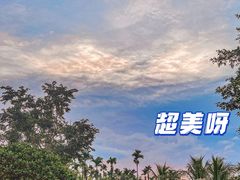 -兴隆槟榔园休闲农庄
