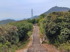 -风云岭森林公园