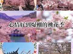 -樱花山风景区