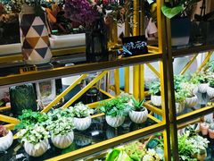 -茶马花街(城西银泰城店)