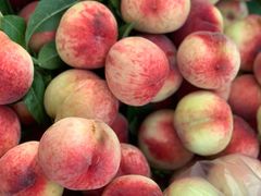 -树木岭集贸市场(劳动东路)