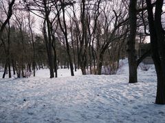 -长春市南湖公园