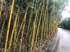 -咸宁万豪温泉谷度假区