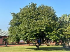 -侯臣咖啡文化村