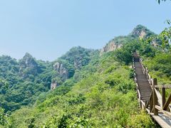 -大岭沟猕猴桃谷风景区