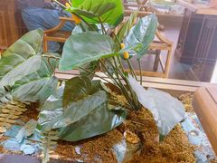 -范家小馆·烤鸭新京菜(金融街店)