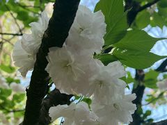 -杭州城北体育公园