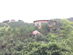 -莫干山郡安里度假酒店-桃尖中餐厅