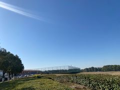 -苏州湾体育公园