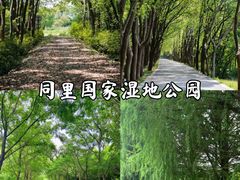 -同里国家湿地公园